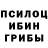 Псилоцибиновые грибы Psilocybine cubensis Yevhen Bairachnyi