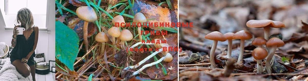героин Дмитров