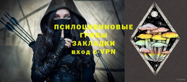 PSILOCYBIN Горнозаводск