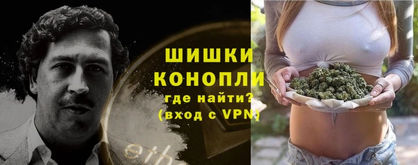 PSILOCYBIN Горнозаводск